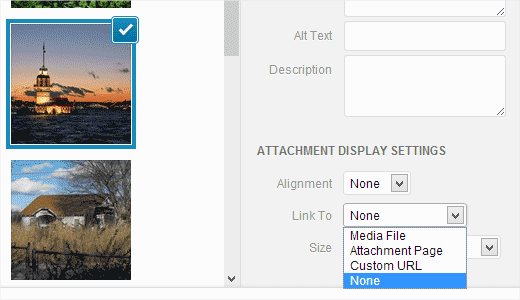default-image-link